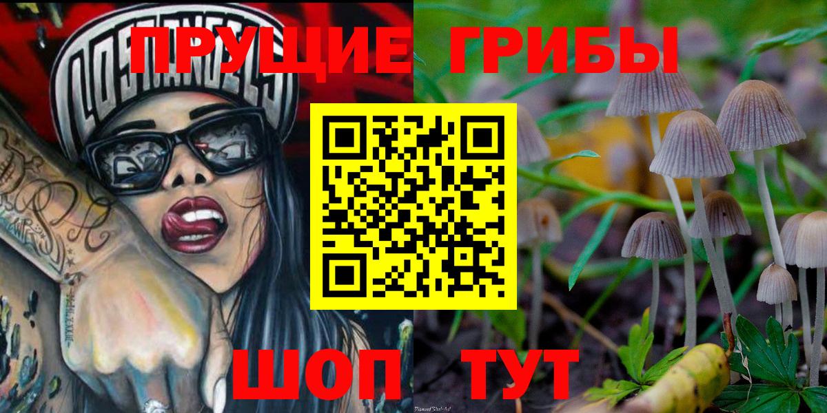 Калач-на-Дону  Псилоцибиновые грибы Cubensis  купить   Галлюциногенные грибы Psilocybe  Вход с VPN 
